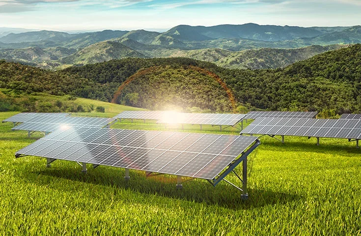 Capa Manual Estrutura de Solo Tessa